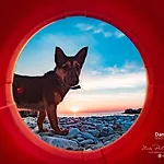 Damma Mia ヴィラ ダモウチャリ