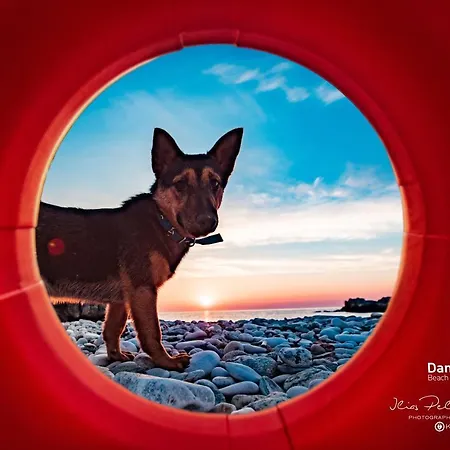 Damma Mia Βίλα Νταμούχαρη