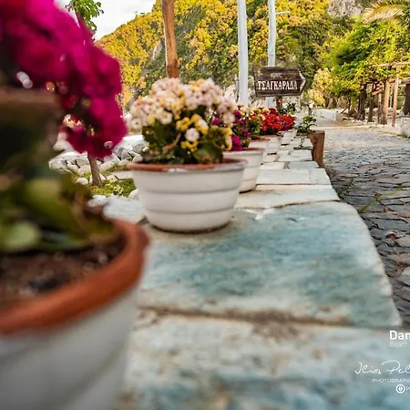 Damma Mia Νταμούχαρη